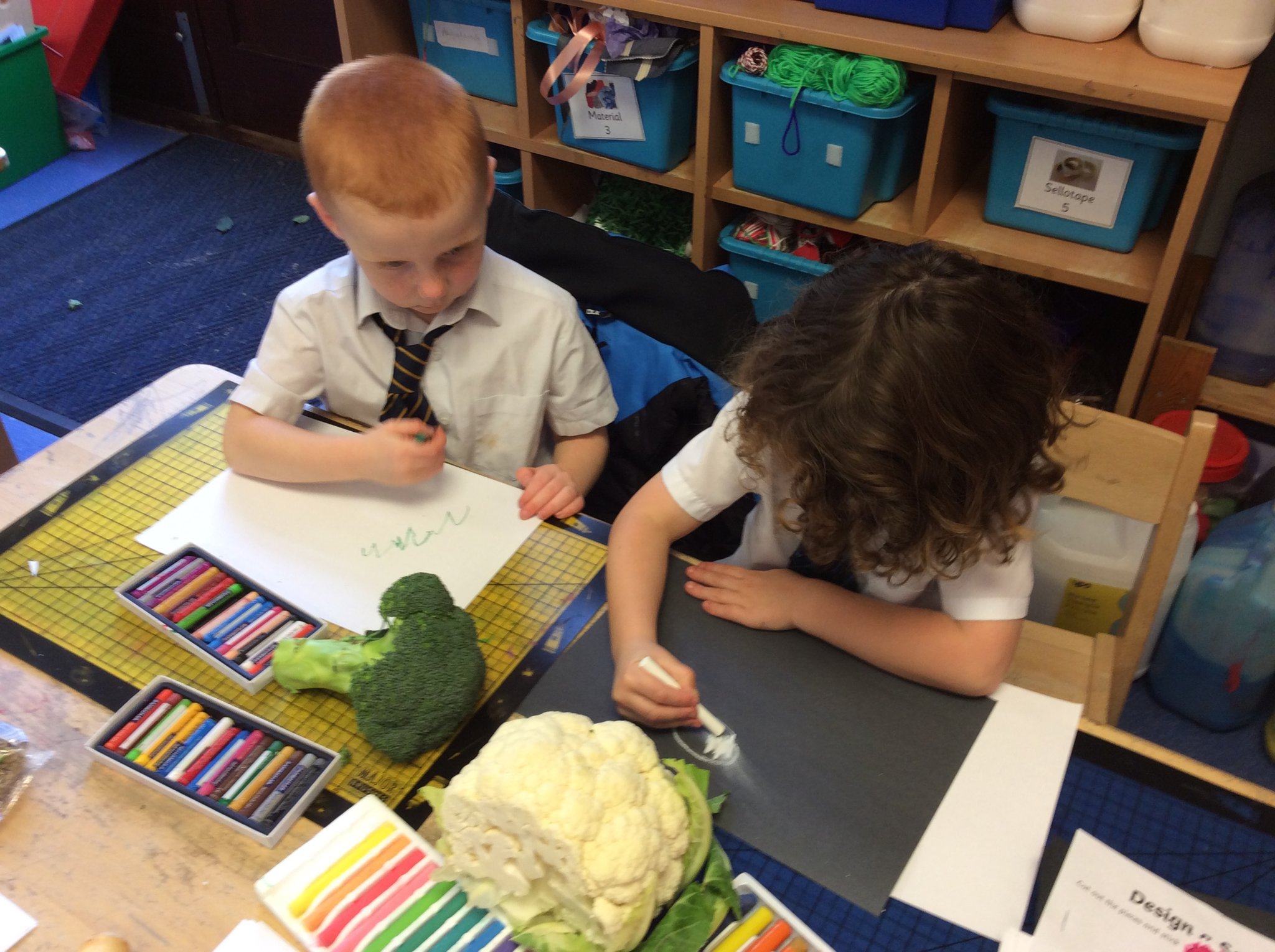 Image of Sketching Harvest Vegetables